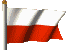 polnisch / poland version